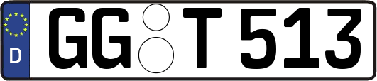 GG-T513
