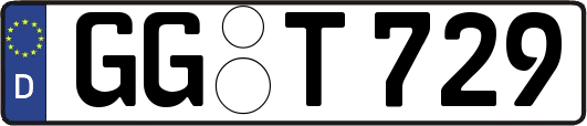 GG-T729