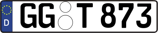 GG-T873