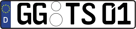 GG-TS01