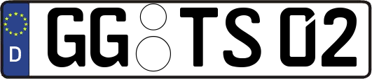 GG-TS02