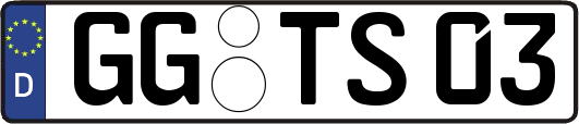 GG-TS03