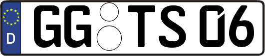 GG-TS06