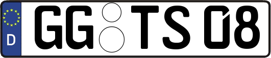 GG-TS08