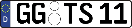 GG-TS11