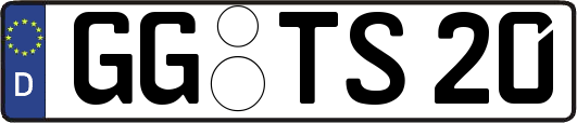 GG-TS20