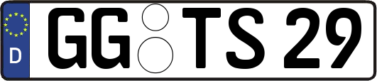 GG-TS29