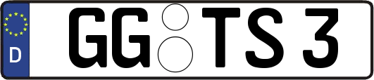 GG-TS3