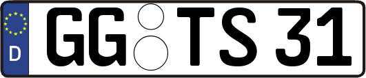 GG-TS31