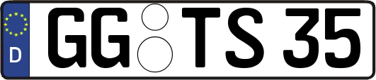 GG-TS35