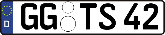 GG-TS42