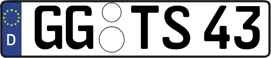 GG-TS43