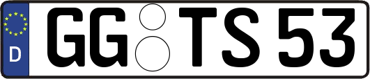 GG-TS53