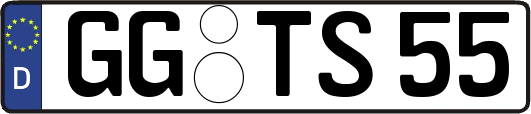 GG-TS55