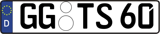 GG-TS60