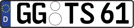 GG-TS61