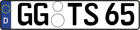 GG-TS65