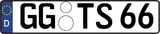 GG-TS66