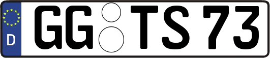 GG-TS73