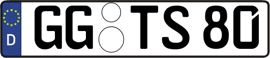 GG-TS80
