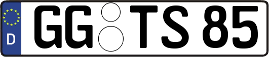 GG-TS85