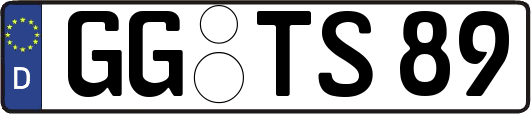 GG-TS89