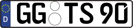 GG-TS90