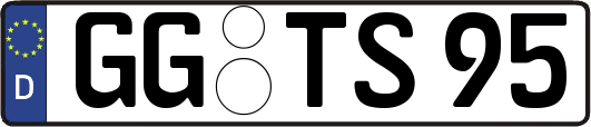 GG-TS95