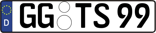 GG-TS99