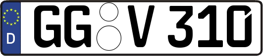GG-V310