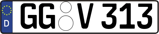 GG-V313