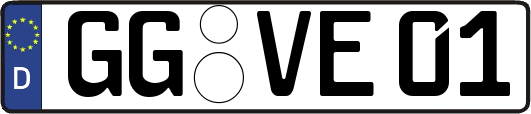 GG-VE01