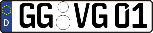 GG-VG01