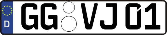 GG-VJ01