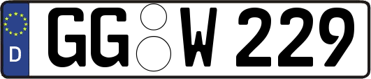 GG-W229