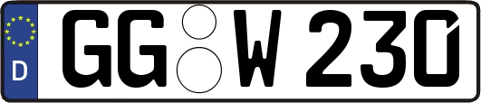GG-W230