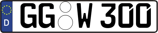 GG-W300