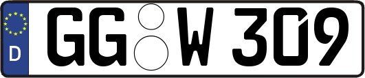 GG-W309