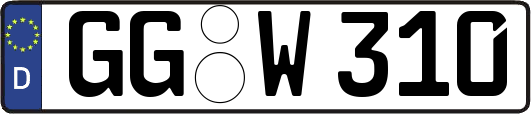 GG-W310
