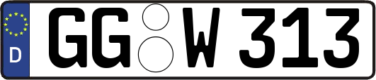 GG-W313