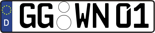 GG-WN01