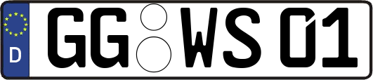 GG-WS01