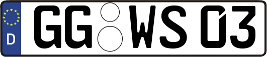 GG-WS03