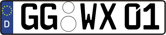 GG-WX01