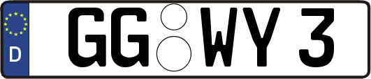 GG-WY3