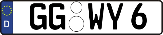GG-WY6