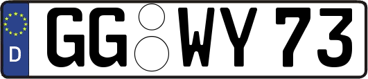GG-WY73