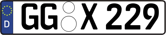 GG-X229