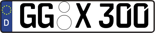 GG-X300
