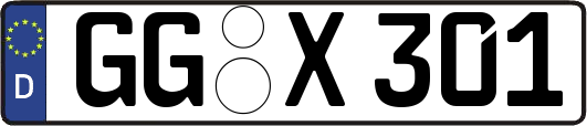 GG-X301